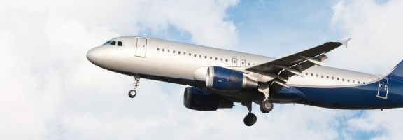 TEAMSCORE: система хранения и удобного поиска лицензионных иллюстраций для авиакомпании